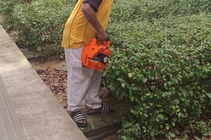 Crew member keeping a hedge line tidy with a handheld power tool