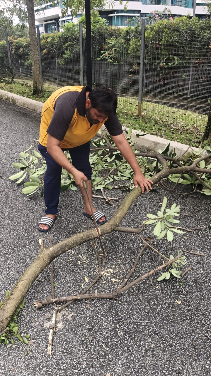 Crew member clearing a fallen tree branch