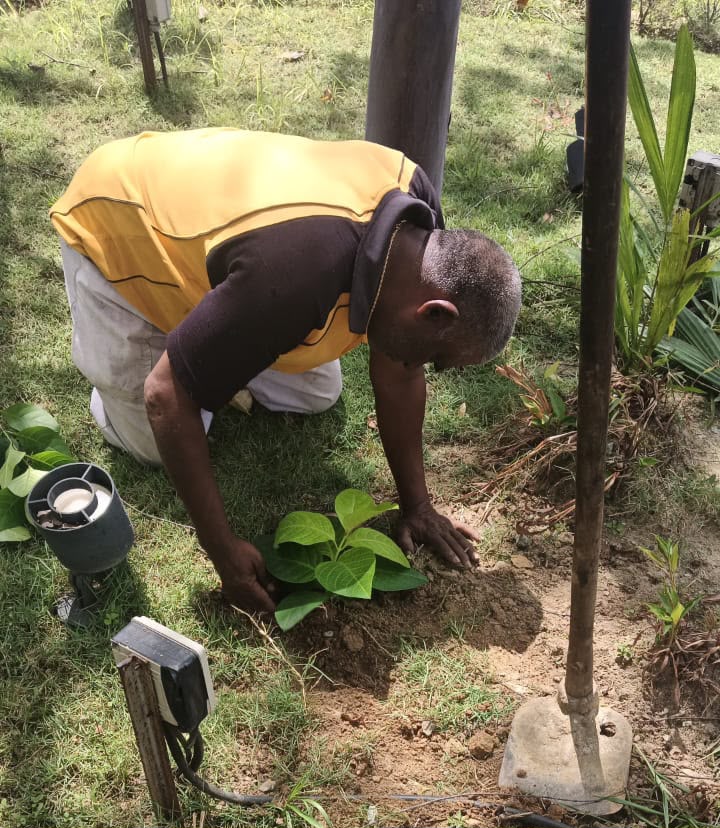 One-Time & Project Landscaping